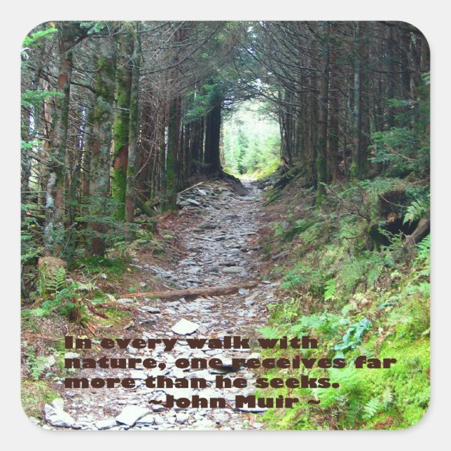 Alum Cave Trail: Every walk w/nature… John Muir Square Sticker (Front)