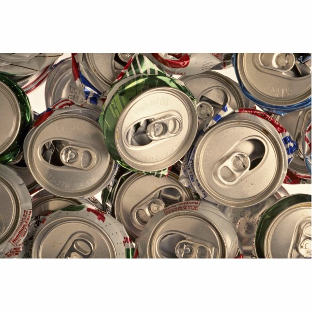 Aluminium cans, recycled standing photo sculpture (Front)