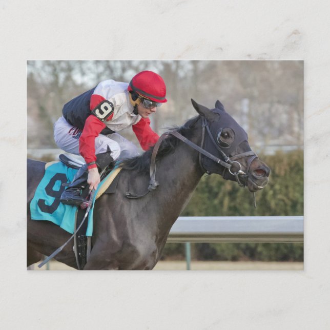Alvarado Postcard (Front)