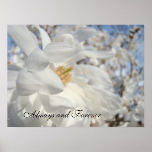 Always and Forever! art prints White Floral Trees