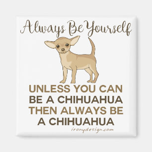 Always Be a Chihuahua Magnet