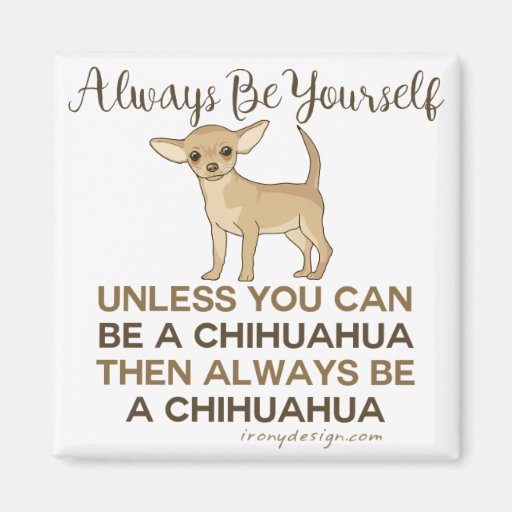 Image of Always Be a Chihuahua Magnet