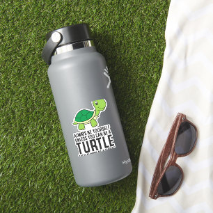 Always Be Yourself Unless You Can Be A Turtle