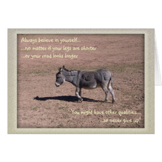 Always believe in yourself