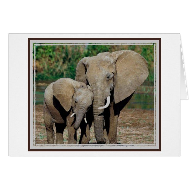 Always By Your Side (Front Horizontal)