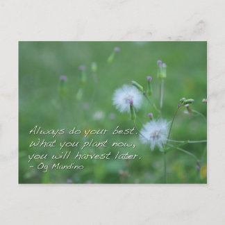Always do your best - motivational quotes postcard