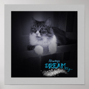 Always Dream Big Poster