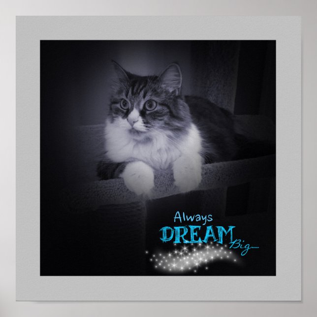 Always Dream Big Poster (Front)