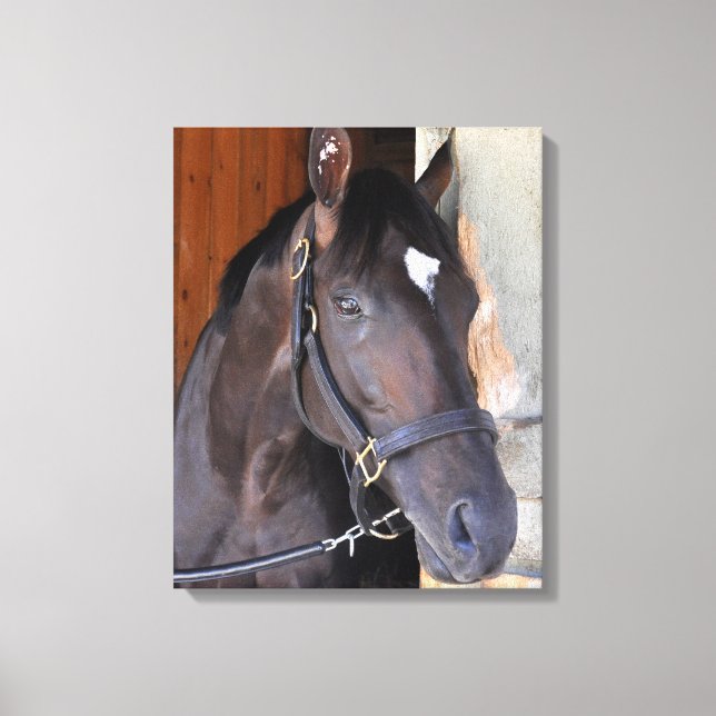 Always Dreaming Canvas Print (Front)