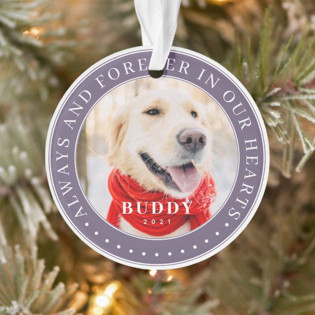 Always & Forever in our Hearts Memorial Pet Photo Ornament (Tree)
