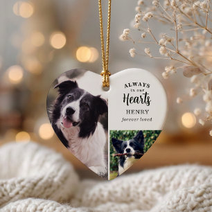 Always In Our Hearts 5 Photo Pet Memorial Ceramic Tree Decoration