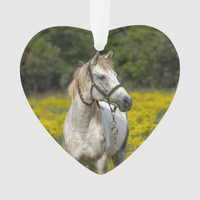 Always in our Hearts, Horse Remembrance Ornament (Front)