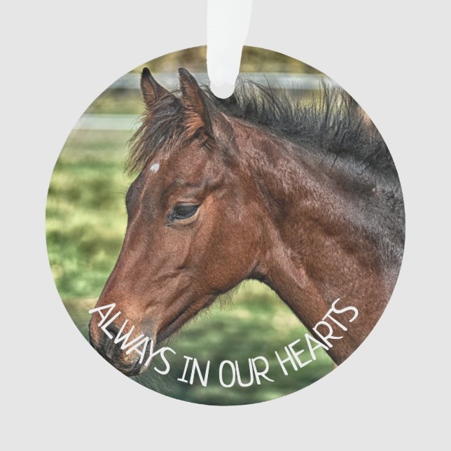 Always in our Hearts, Horse Remembrance Ornament (Front)