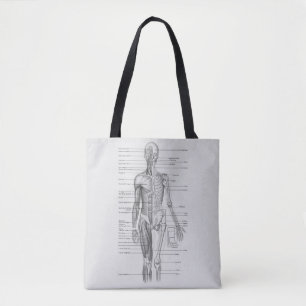 Always Learning: Human Body Anatomy Chart Tote Bag