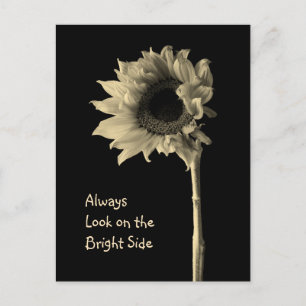 "Always Look on the Bright Side" Floral Portrait Postcard
