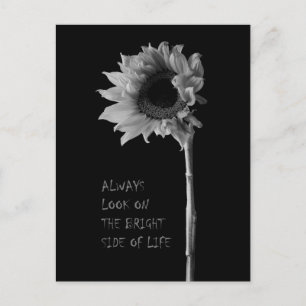 "Always Look on the Bright Side of Life" Sunflower Postcard
