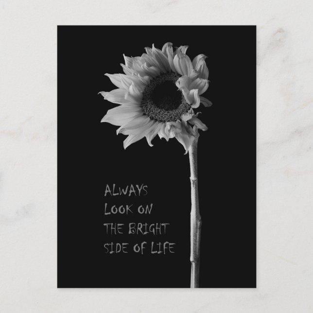 "Always Look on the Bright Side of Life" Sunflower Postcard (Front)