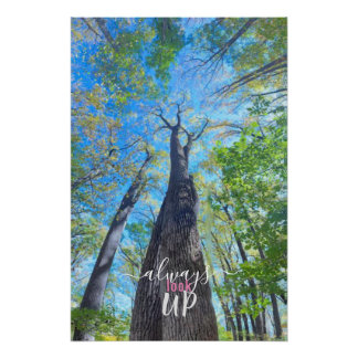 Always Look Up autumn sky and leaves Poster