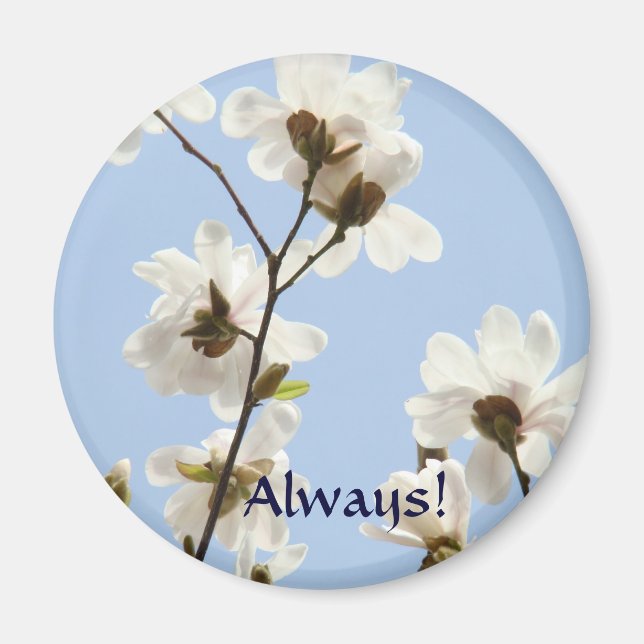 Always! magnet White Magnolia Flowers Springtime (Front)