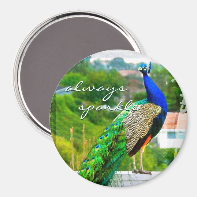 Always sparkle beautiful blue green peacock photo magnet (Front/Back)