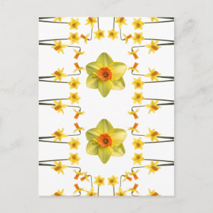 Always Spring Postcard