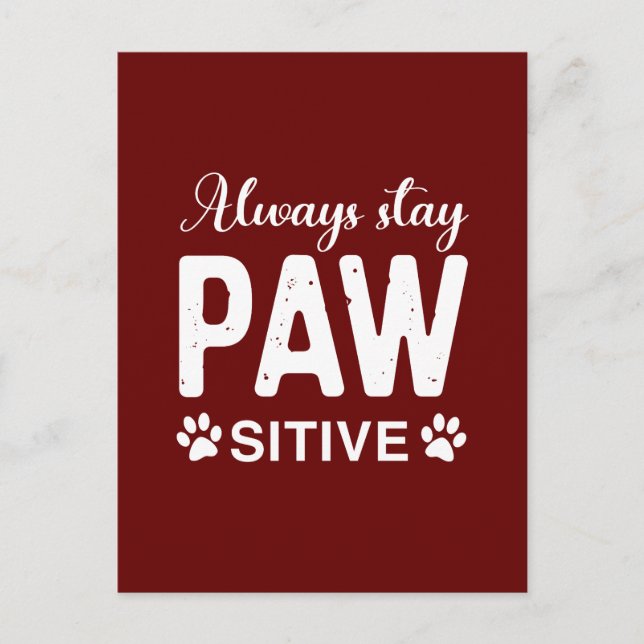 Always stay PAW sitive Postcard (Front)