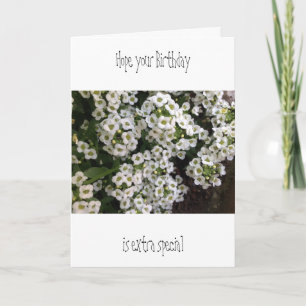 Alyssum Birthday Card