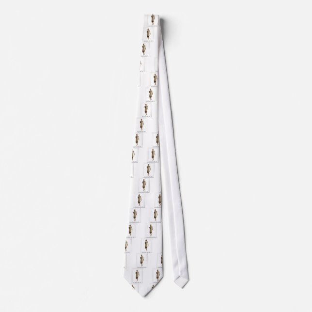 AM117 TIE (Front)