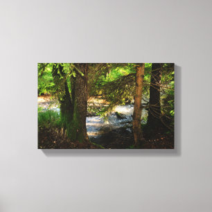 Am Bach Canvas Print