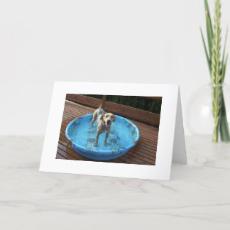 Am I Beautiful or What? Thank You Card