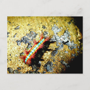 Am I Different to You?/Night Out Beauty Postcard