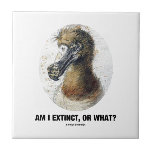 Am I Extinct, Or What? (Dodo Bird Portrait) Tile