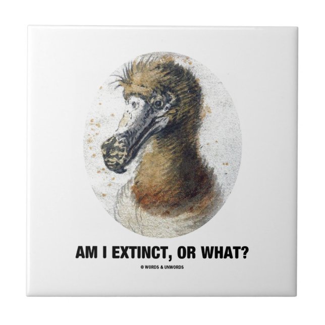 Am I Extinct, Or What? (Dodo Bird Portrait) Tile (Front)