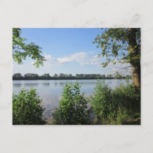 Am Natursee Postcard