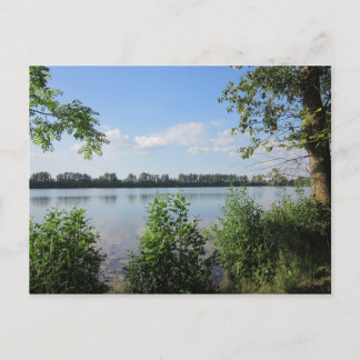 Am Natursee Postcard