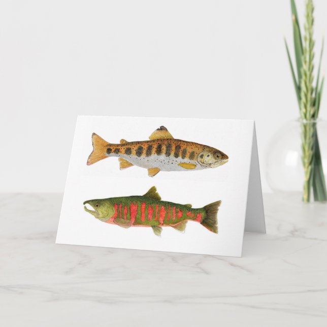Amago & Masu Salmon of Japan Card (Front)