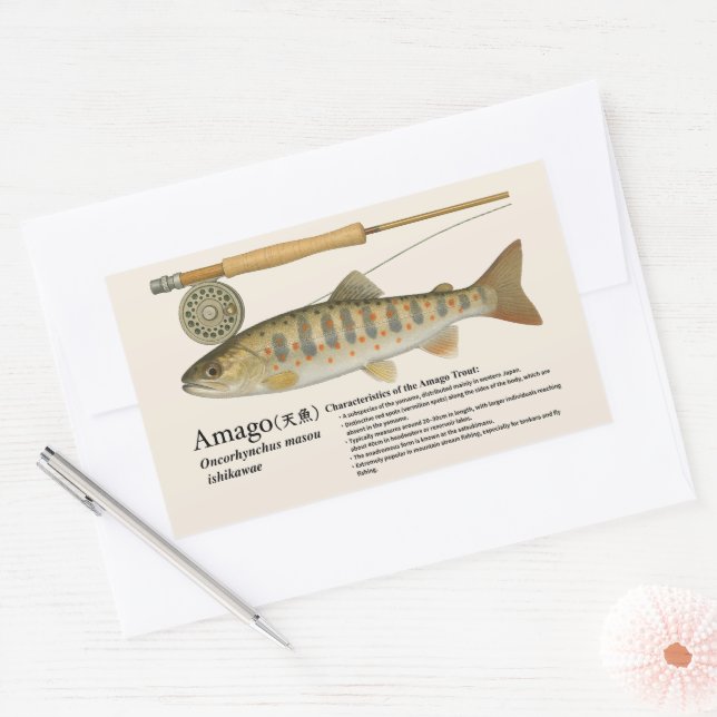 Amago (Oncorhynchus masou ishikawae) – English Rectangular Sticker (Envelope)
