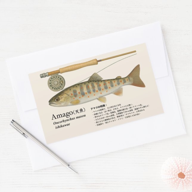 Amago (Oncorhynchus masou ishikawae) – Japanese Rectangular Sticker (Envelope)