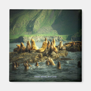 Amak Island Sea Lions Magnet