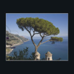 Amalfi coast, Ravello, Campania, Italy Postcard<br><div class="desc">COPYRIGHT Paul Thompson / DanitaDelimont.com | EU16 PTH0073.jpg | Amalfi coast,  Ravello,  Campania,  Italy</div>
