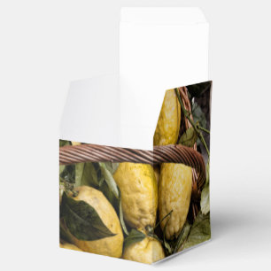Amalfi Lemon Basket Favour Box