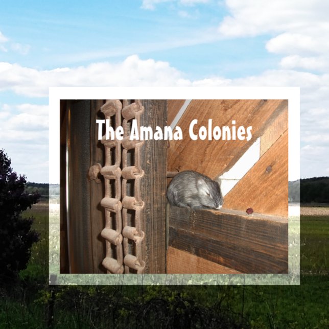 Amana Colonies, Visitors Centre, Amana IA Postcard (Creator Uploaded)