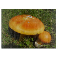 Amanita Caesarea Mushroom Glass Chopping Board