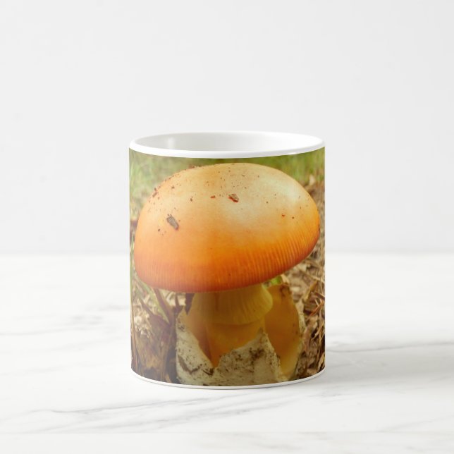 Amanita Caesarea Mushroom Mug (Center)