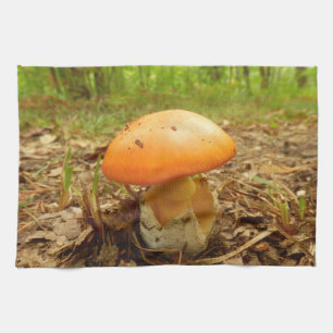 Amanita Caesarea Mushroom Tea Towel
