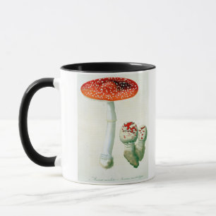 Amanita Muscaria from 'Phytographie Medicale' by J Mug