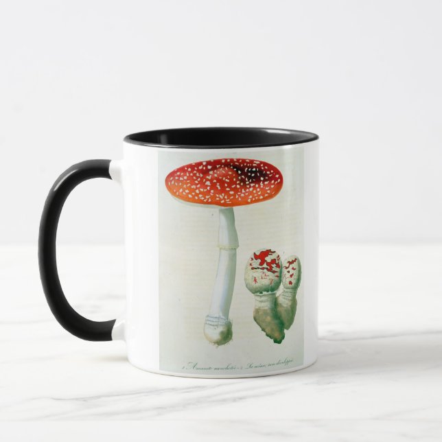 Amanita Muscaria from 'Phytographie Medicale' by J Mug (Left)