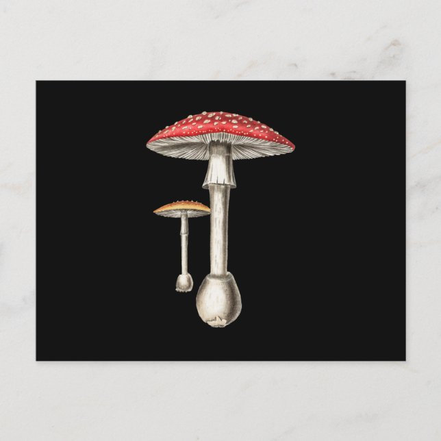 Amanita Muscaria Mushroom Botanical Nature Fungi Invitation Postcard (Front)