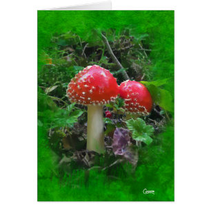 Amanita Muscaria on Green - 5" x 7" Art Card