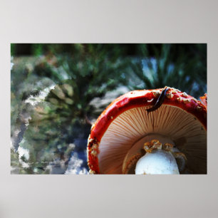 Amanita Muscaria with slug Poster